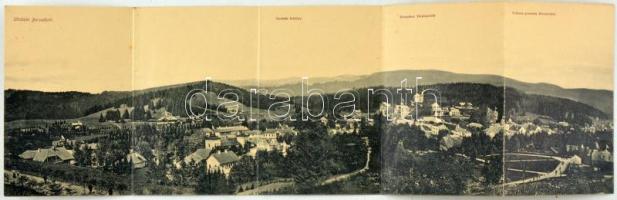 1906 Borszék, Borsec; Öt részes kihajtható panorámalap. Soós kiadása / 5-tiled folding panoramacard