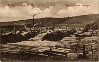 Maroshévíz, Toplita; vasútállomás, fűrésztelep. E. Walter 1924 / Fabrica Muresel / railway station, sawmill