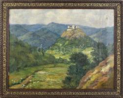 Agricola L jelzéssel: Hegyvidéki táj várral. Olaj, vászon. Dekoratív fakeretben, 44×57 cm.