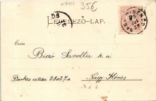 1899 (Vorläufer) Kisdisznód, Michelsberg, Cisnadioara; Aufstieg zur Burg, Evang. Schule, Der halbe S...