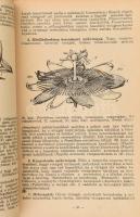 Lengyel Géza: Méhek és virágok. Bp., 1943., Országos Magyar Méhészeti Egyesület. Kiadói papírkötés, ...