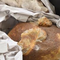 Nagyméretű ásvány gyűjtemény, füstkvarc, dolomit, amazonit, gipsz, hegyikristály, coelestin, kalcit,...