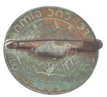 ~1950-1960. "Rózsa Ferenc Gimnázium - Szeged" zománcozott iskolajelvény (35mm) T:2 zománch...