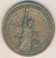 USA 1965. "100 éves a Szabadság-szobor - Amerikai Bevándorlási Múzeum" nagyalakú Br emlékérem T:1 Eredeti díszdobozban, ismertetővel!