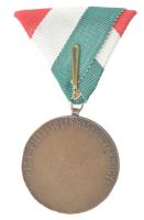 Maugsch Gyula (1882-1945) 1930. "Pest-Pilis-Solt-Kiskun vármegye" kétoldalas bronz birkózó...