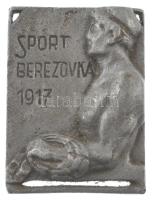 Oroszország 1917. Sport Berezovka fém díjérem, hátoldalán A.I.S.R gyártói jelzéssel (31x23mm) T:2 Russia 1917. Sport Berezovka metal award medal, with A.I.S.R makers mark on the backside (31x23mm) C:XF