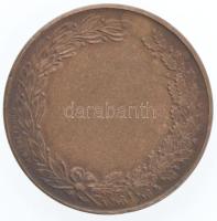 ~1930-1940. "Weiss Manfred Vállalatok Testedző Köre" kétoldalas bronz emlékérem (30mm) T:1...