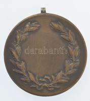 Pincés Puder István (1907-?) ~1930. "Diszkoszvető" kétoldalas bronz díjérem füllel (38mm) ...