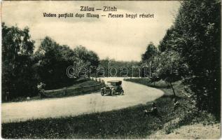 1931 Zilah, Zalau; Vedere partiala depe Meses / Meszes-hegyi részlet, automobil / road with automobile (EK)