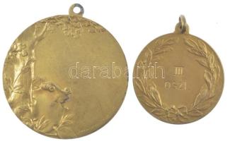 ~1920-1930. "magasugrás" kétoldalas bronz díjérem füllel (2x) (30-40mm) T:2