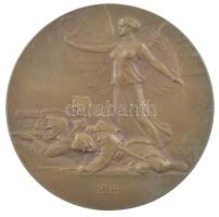 Ausztria 1914. "Ferenc József" kétoldalas bronz emlékérem. Szign.: Rudolf Neuberger / Arno...