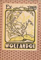 Szomaházy István: A titokzatos szerző. Bp., 1920, Singer és Wolfner, 134+2 p. Az eredeti elülső papí...