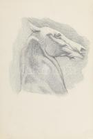 Tóth Gyula (1891-1970): Vázlatfüzet 13 db rajzzal (ló, lovas, női portré, stb.), 1910-es évek. Ceruza, papír, jelzett a vázlatfüzet második lapján aláírással (egyes rajzok jelzés nélkül), 20x28 cm
