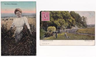 4 db RÉGI folklór motívum képeslap / 4 pre-1945 folklore motive postcards (USA, Canada)