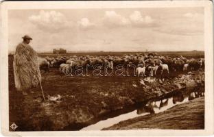 1930 Hortobágy, Juhnyáj, magyar folklór (EK)