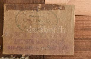 Jelzés nélkül: Férfi portré, olaj, vászon, 35x25 cm