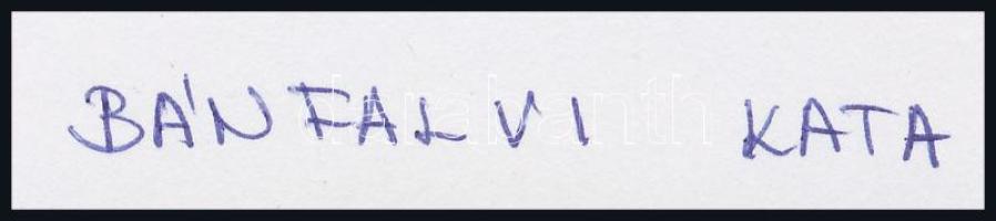 Bánfalvi Kata (?-): 10 db geometrikus-absztrakt vázlat. Kollázs, papír, jelzett, 25×34,5 cm