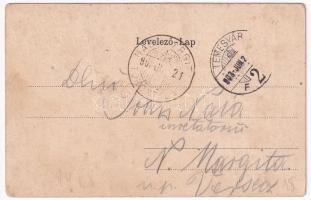 1903 Temesvár, Timisoara; Pályaudvar, vasútállomás. Káldor Zs. és Társa kiadása. Szecessziós virágos...