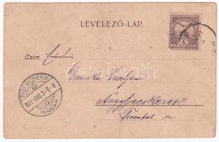 1901 Stájerlak, Stájerlakanina, Anina, Steierdorf; Villa Deuz, Örömvölgy, Erdőház. Hollschütz kiadás...