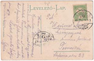 1908 Lugos, Lugoj; utca, népbank, Strasser kávéház, üzletek. Auspitz Adolf kiadása. Montázs festőpal...