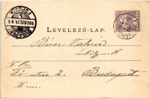 1900 Erzsébetváros, Dumbraveni; Honvéd laktanya, Városi tanács, városháza, Takarékpénztár szálloda, ...