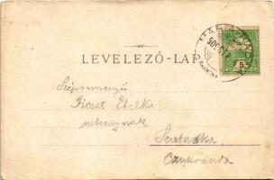 1909 Máriaradna, Mária-Radna, Radna (Lippa, Lipova); Solymosi vár, kegytemplom / Soimos castle, pilg...