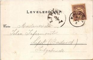 1900 Marilla, Marillavölgy, Marila; Tornacsarnok. Gross Gyula kiadása / gym hall. Art Nouveau, flora...