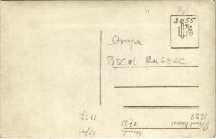 Straja, Dealul Piscul Rusesc / winter. photo