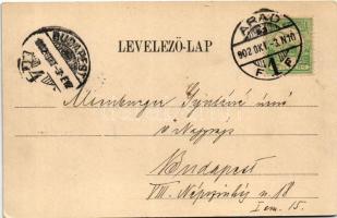 1902 Arad, Salacz park. Bloch H. nyomdája / park