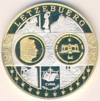 Európa DN "Európa pénzei - Luxemburg" Ag bicolor emlékérem 20g T:PP