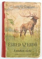 Szkrebickij-Csaplina: Ébred az erdő. A vadon élete. Bp., 1950. Magyar-Szovjet. Megviselt szétvált papírkötésben.