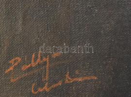 Pállya Celesztin (1864-1948): Női portré. Olaj, vászon, jelezve balra lent. Hátoldalán BÁV 109 aukci...