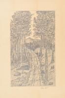 Schadl János (1892-1944): Erdőrészlet. Ceruza, papír, sérült. 42,5x30,5 cm