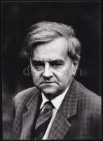 Weöres Sándor (1913-1989) Kossuth- és Baumgarten-díjas költő, fotó, 18x13 cm