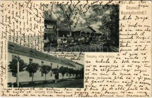 1904 Buziásfürdő, Baile Buzias; Csajaki villa és kertje / castle and garden