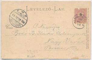 1900 Herkulesfürdő, Baile Herculane; Dombornyomott / embossed (Rb)