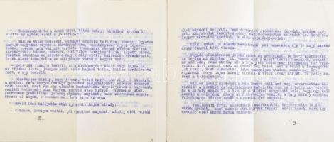 1913 Dr. Toldy Elemér: A Szent László-húszasok története, gépirat, 11p