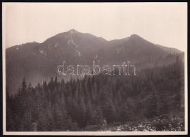 cca 1910 Brassó-vidéki hegyek, Erdélyi Mór felvétele, hátulján feliratozva, 11,5×16 cm / Brasov