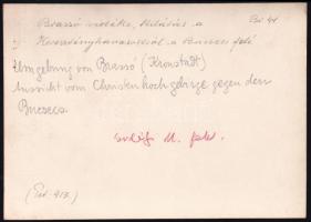 cca 1910 Brassó-vidéki hegyek, Erdélyi Mór felvétele, hátulján feliratozva, 11,5×16 cm / Brasov