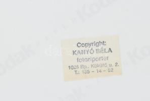 Erzsébet-díj átadó (?) ünnepség (Dr. Czeizel Endre, Palotás János, Huszti Péter, stb.), 5 db színes ...