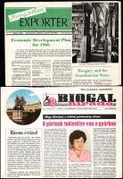 cca 1965 Gyógyszerészeti, biokámémiai tétel: 2 db magyar szaklap, 3 db szabadalmi okirat