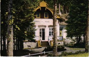 1913 Koritnyica, Korytnica; Fürdőház. Komor Testvérek kiadása / spa, bathhouse