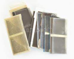 Tájképek, családi felvételek, állatok, stb., 21 db sztereo üvegnegatív