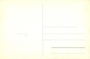 Porcsest-Verestorony, Vöröstorony, Porcesti-Turnu Rosu; Toma Simon Szálloda / hotel