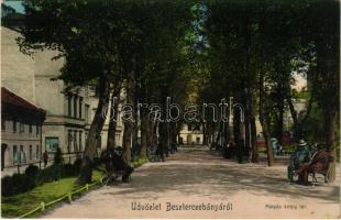 1908 Besztercebánya, Banská Bystrica; Mátyás király tér. Grossmann testvérek kiadása / square, promenade