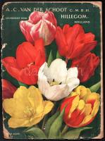 1928-1929 3 db A. C. Van der Schoot Gmbh. Holland virág katalógusok, sérültek, foltosak, rossz állap...