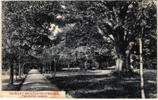 1922 Bikszád-gyógyfürdő, Baile Bixad; Park részlet, sugárút. Divald Károly Fia kiadása / park (EK)