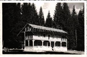 Nagybánya, Baia Mare; Menedékház / tourist house, chalet