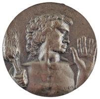 Olaszország 1960. "Olasz Nemzeti Olimpiai Bizottság Érem" kétoldalas fém részvételi érem (...