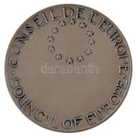 Hollandia / Utrecht (1961.) "Európai tanács" jelzett Ag kétoldalas emlékérem eredeti tokba...